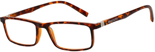 READERS BL202 TARTARUGA +2.00