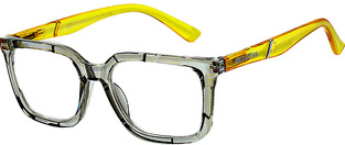 READERS RD219 GREY +2.50